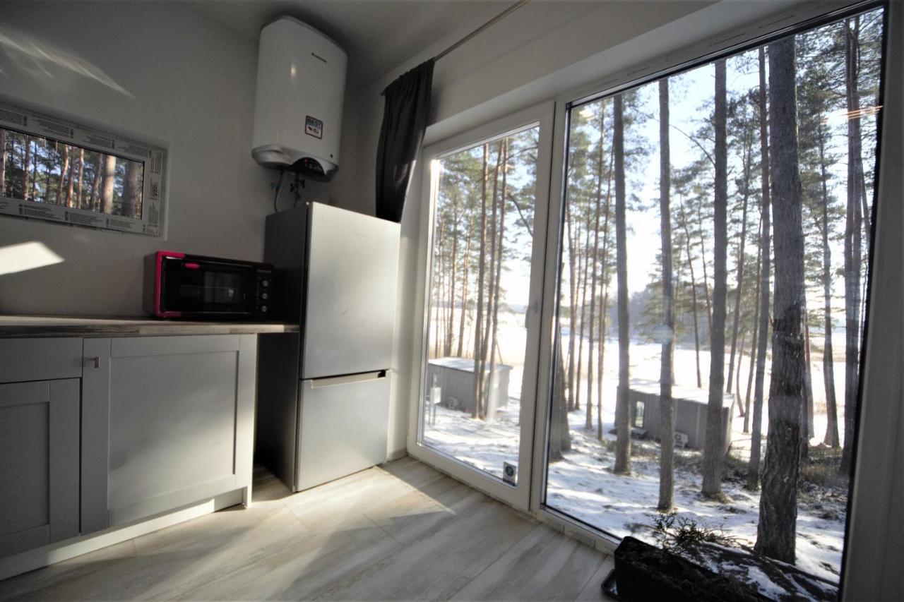 Gaujaclub - Our Bose And Bang&Olufsen Lofts On A Lake Gauja  Екстер'єр фото