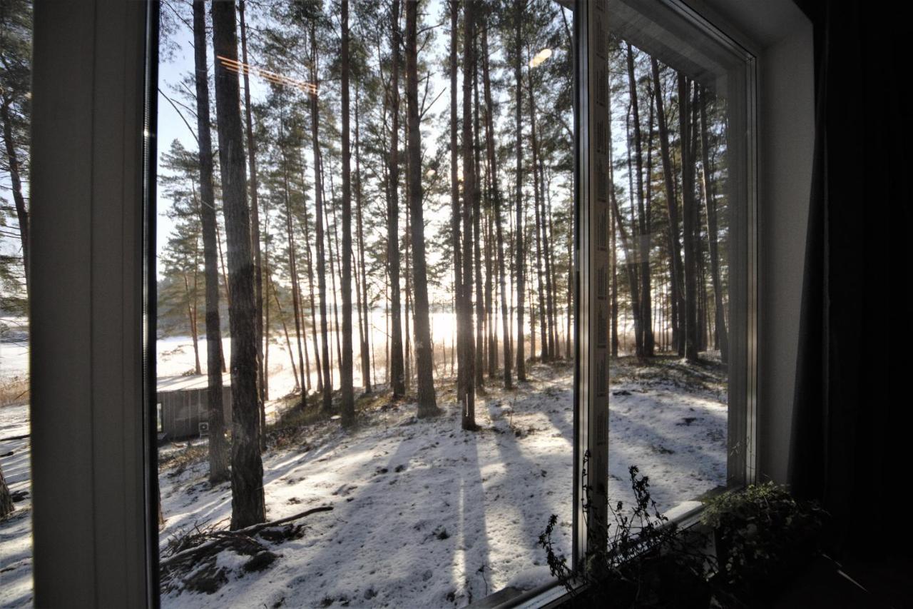 Gaujaclub - Our Bose And Bang&Olufsen Lofts On A Lake Gauja  Екстер'єр фото