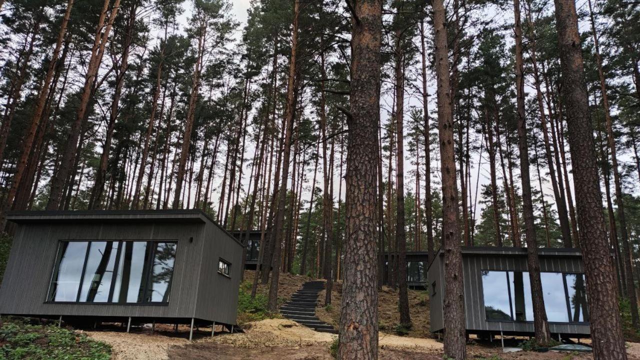 Gaujaclub - Our Bose And Bang&Olufsen Lofts On A Lake Gauja  Екстер'єр фото