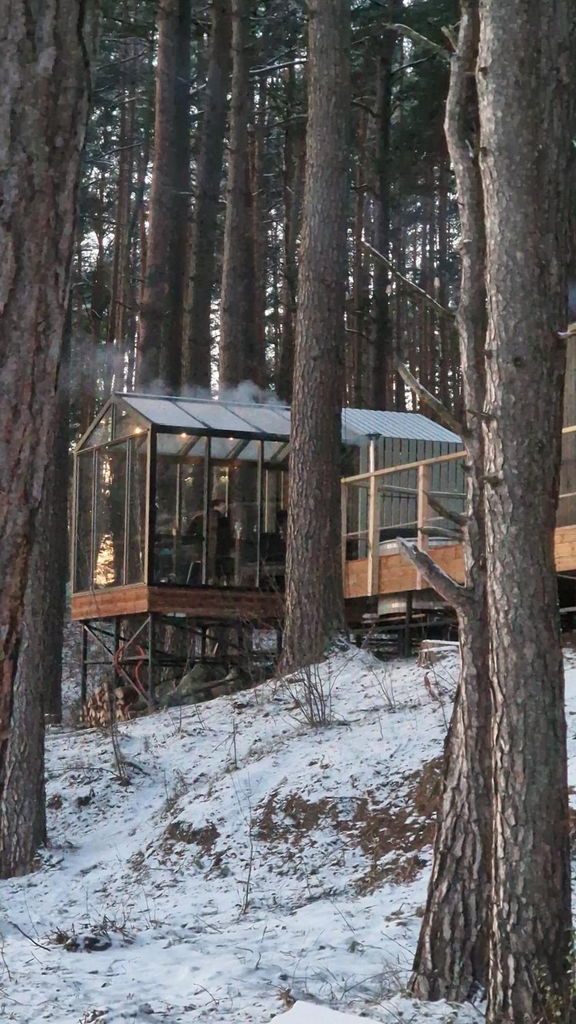 Gaujaclub - Our Bose And Bang&Olufsen Lofts On A Lake Gauja  Екстер'єр фото