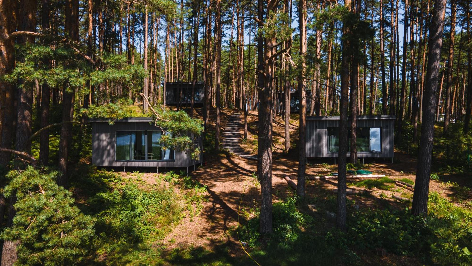 Gaujaclub - Our Bose And Bang&Olufsen Lofts On A Lake Gauja  Екстер'єр фото