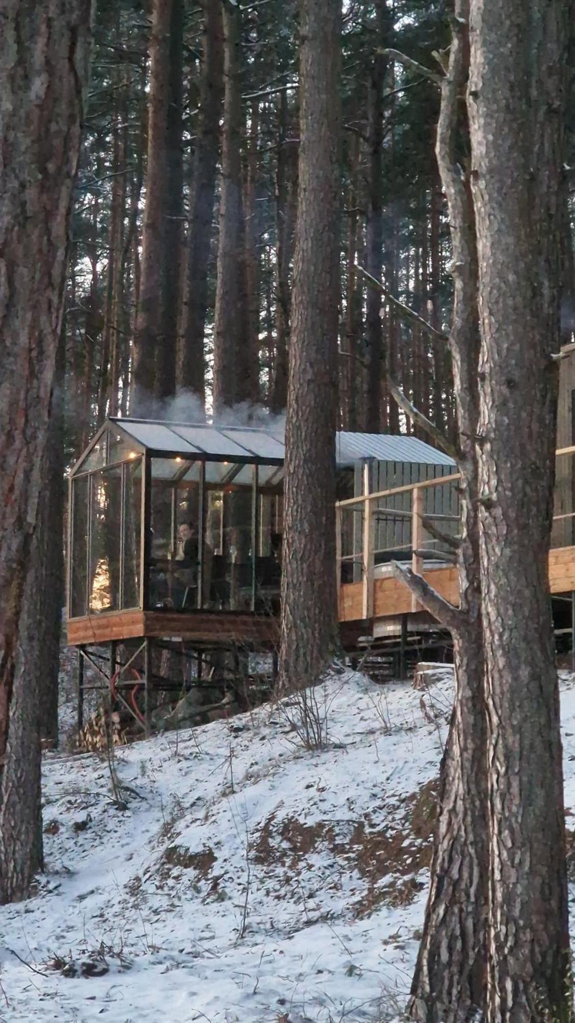 Gaujaclub - Our Bose And Bang&Olufsen Lofts On A Lake Gauja  Екстер'єр фото