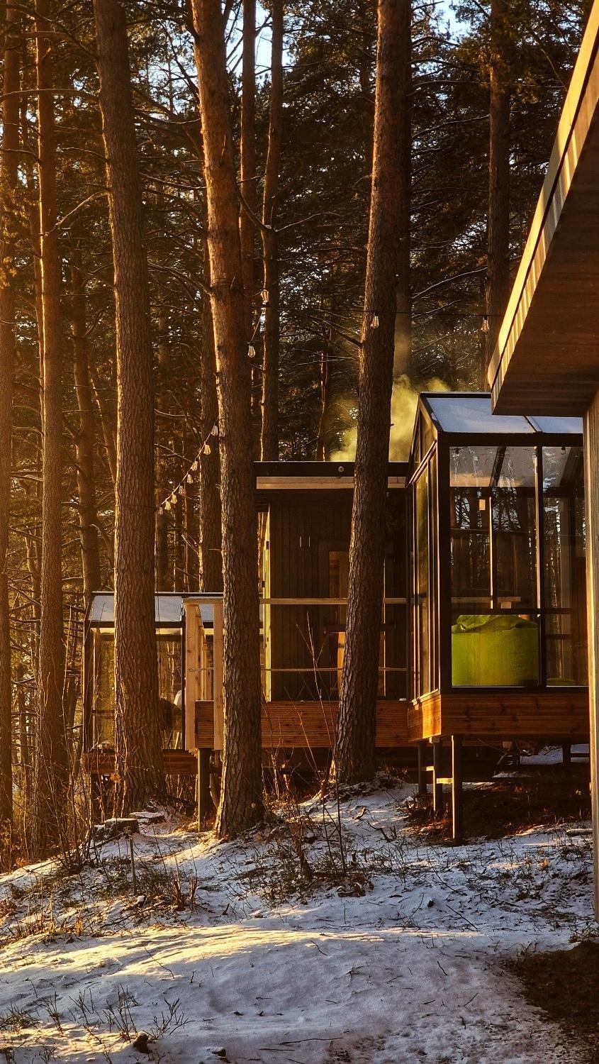 Gaujaclub - Our Bose And Bang&Olufsen Lofts On A Lake Gauja  Номер фото